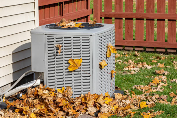 Best Local HVAC Companies  in Chula Vista, TX